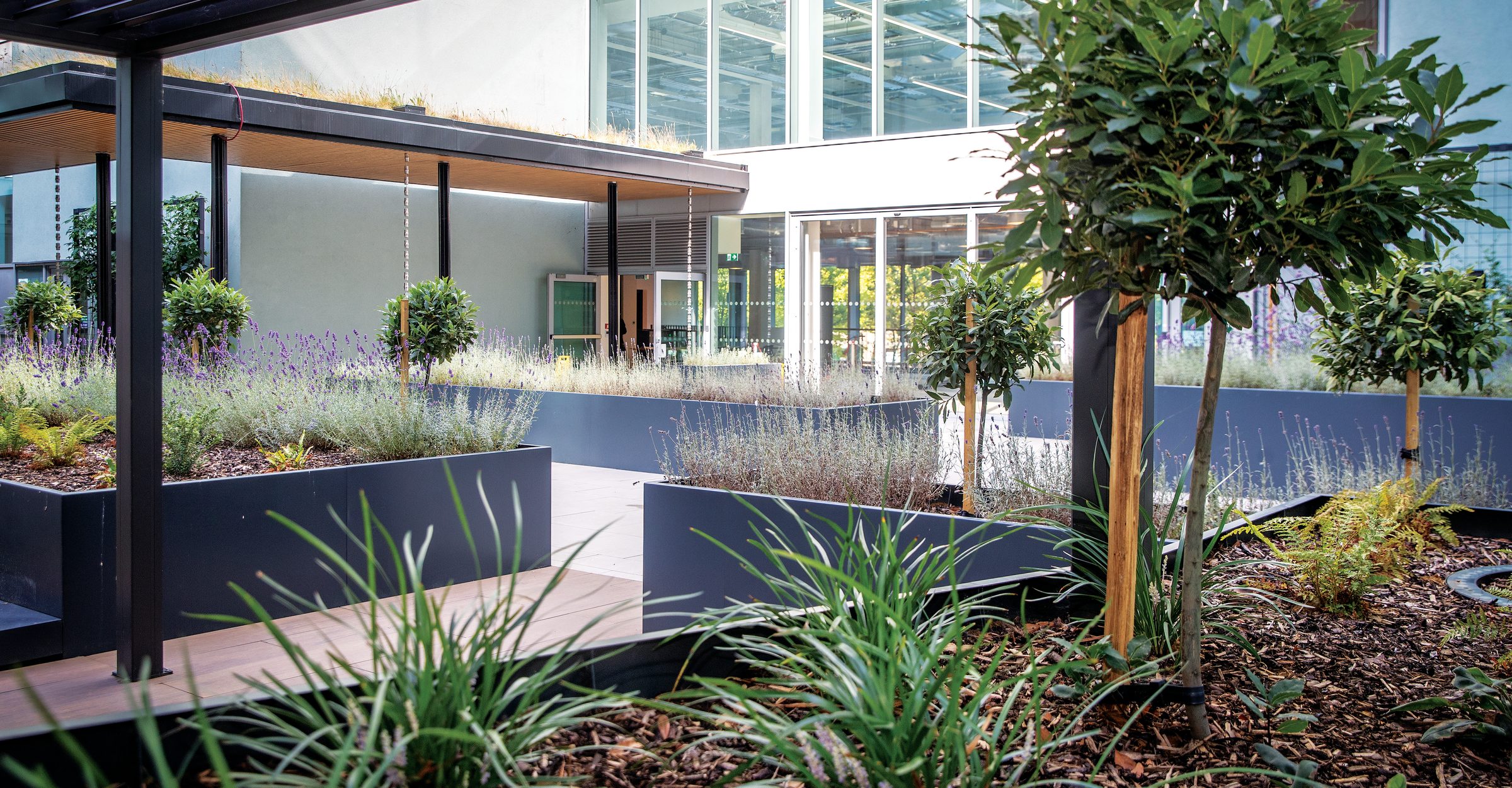 The Pinnacle Urban Courtyard Garden